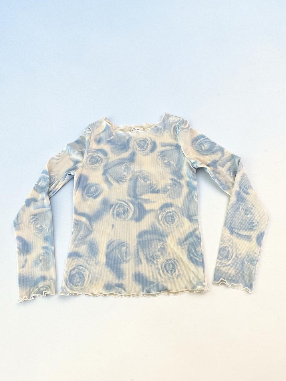 art class Blue and White Rose Print Long Sleeve Mesh Top